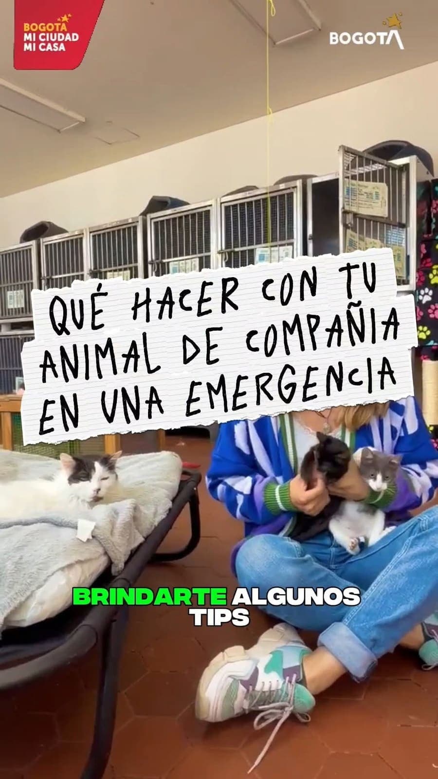 🚨¿Sabes qué hacer con tu animal de compañía durante un sismo?🐾 En una emergencia, mantener el control no solo te prote