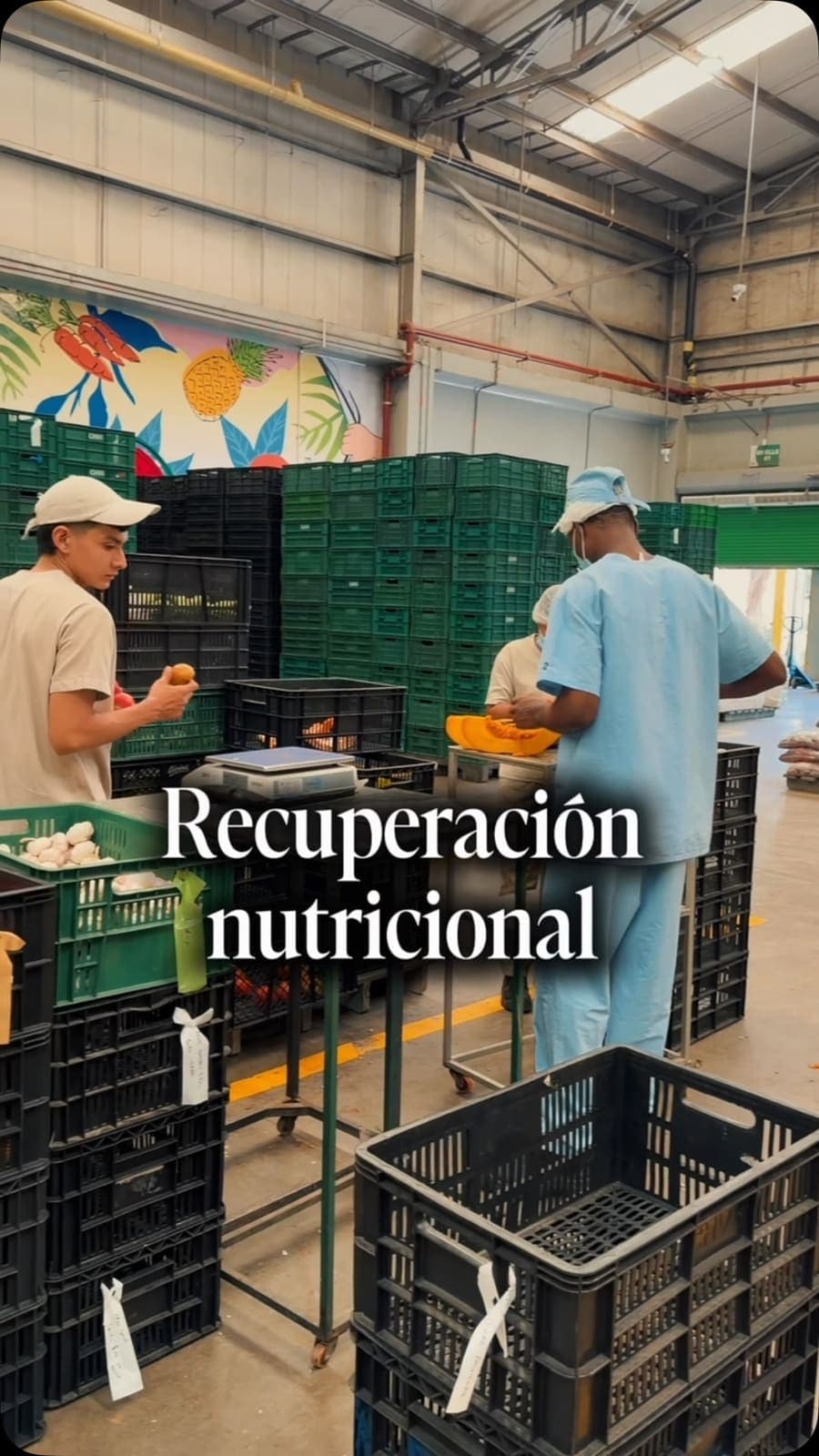 💚 Detrás de cada sonrisa de un niño que recibe el apoyo de Crecer con Bienestar, pasa esto. Cada entrega de alimentos a